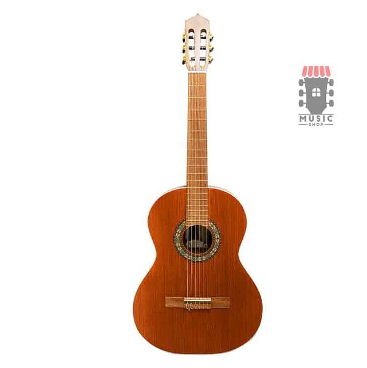 گیتار پارسی M6